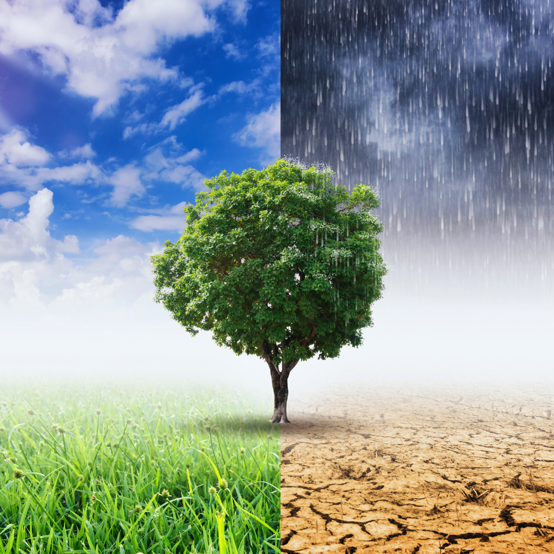 Why Climate Change Remains Science’s Biggest Challenge Amid Global Uncertainty